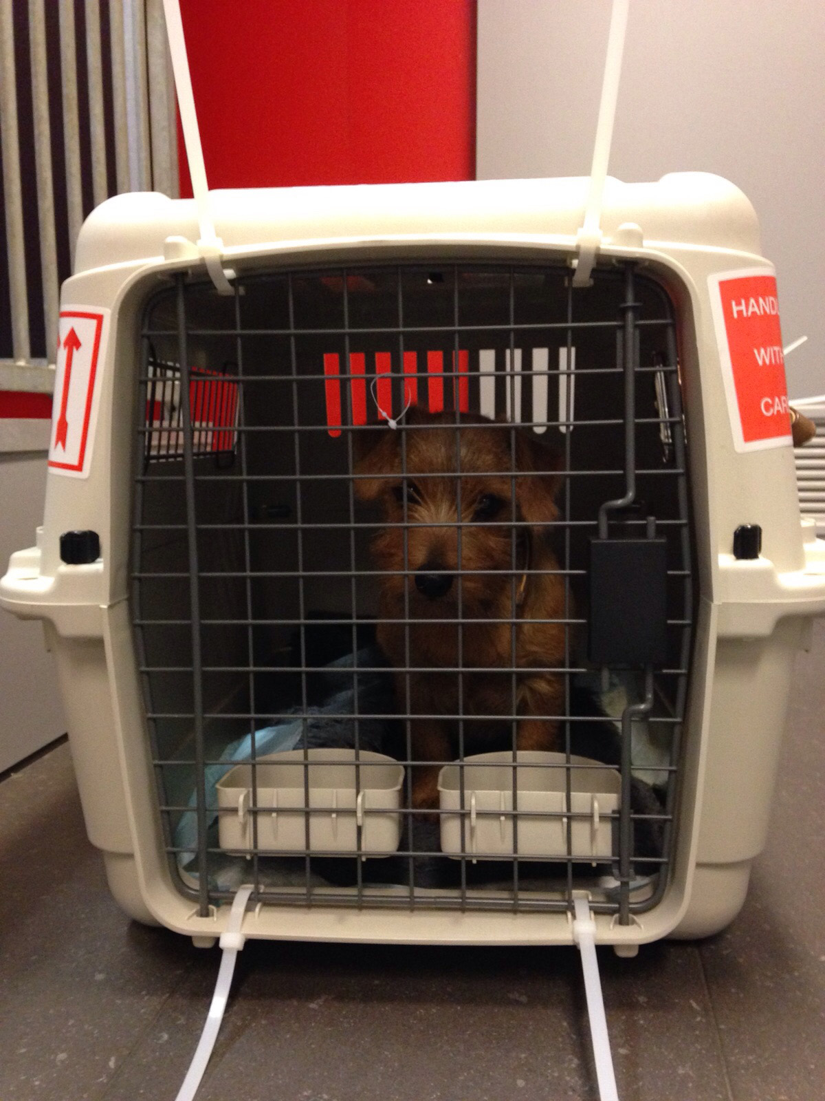 pure balance website